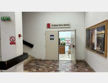 Romanian Peasant Museum Cinema