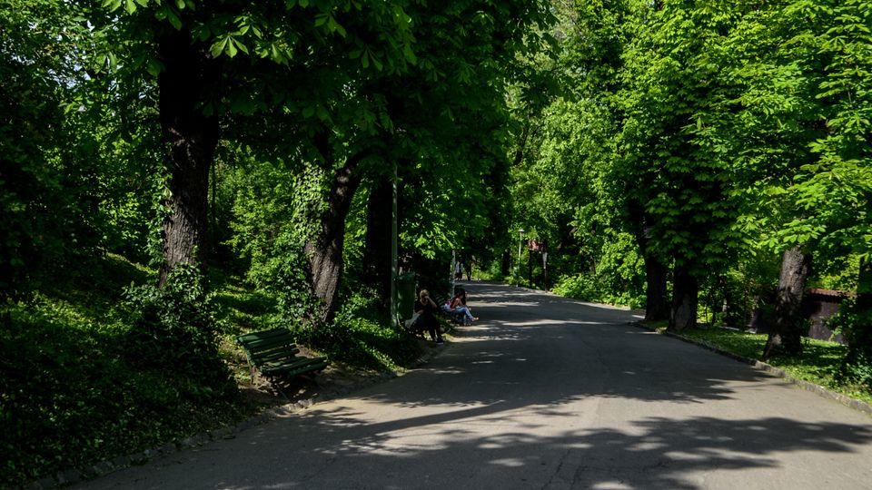 Parc Carol summer.jpg