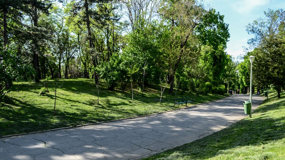 Parc Carol summer.jpg