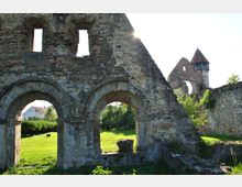 Ruins of cârta monastery