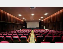 Romanian Peasant Museum Cinema