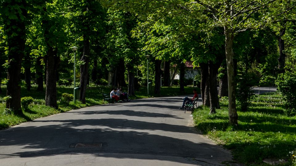 Parc Carol summer.jpg